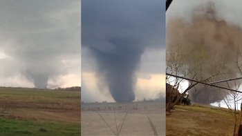 Un tornado arrasó con campos de Santa Fe dejando árboles caídos y voladura de techos