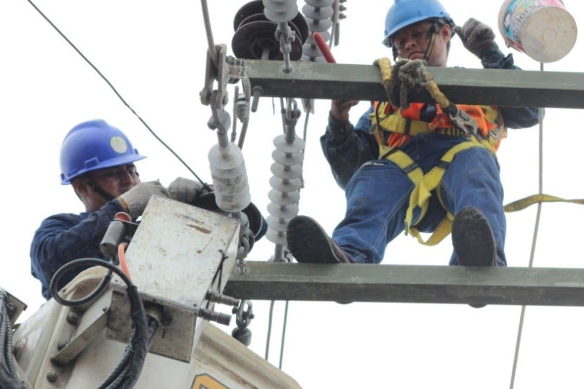 Fachada de vivero afectado por fallas en el servicio eléctrico