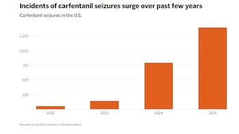 Gráfico de barras que muestra el número de incautaciones de carfentanilo en EE. UU. desde 2022 hasta 2025, con un aumento constante cada año