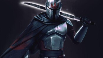 ¿Quién es Tarre Vizsla? El