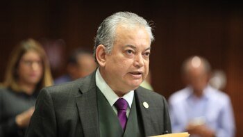 Santos Díaz aclaró que no
