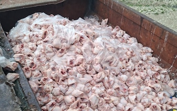 Entre los productos incautados se encontraban 8,4 toneladas de pollo, cinco toneladas de papaya, una tonelada de huevos y varios kilogramos de mariscos cuya procedencia no pudo ser acreditada.