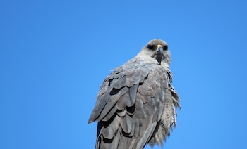 El gobierno provincial pidió registrar