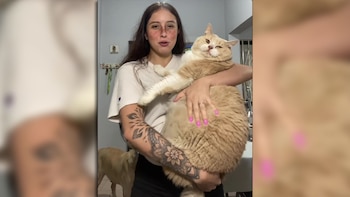 La increíble reacción de los