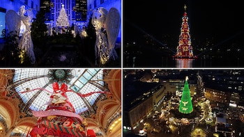 Los 8 árboles de Navidad