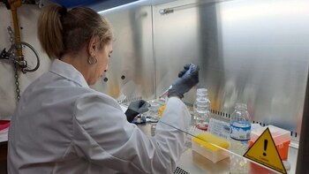 Inhouse Boehringer