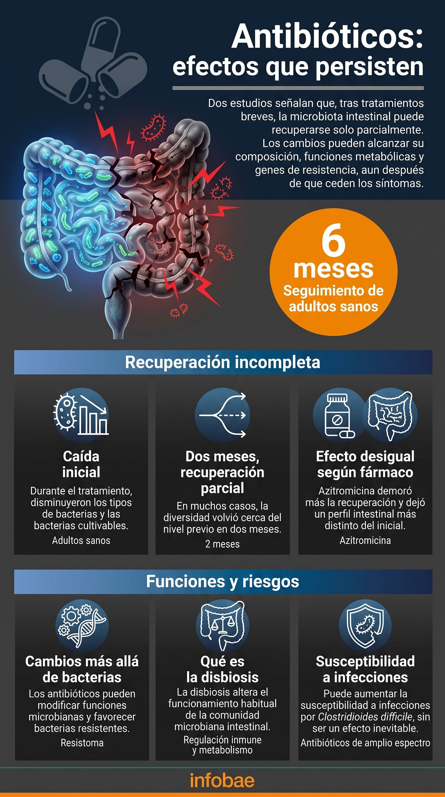 Dos estudios retomados por National Geographic advirtieron que los antibióticos pueden dejar efectos duraderos en la microbiota intestinal (Imagen Ilustrativa Infobae)