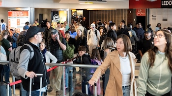 TSA confisca a fanáticos extranjeros la “obsesión” gastronómica que intentan llevar en cabina durante el Mundial 2026