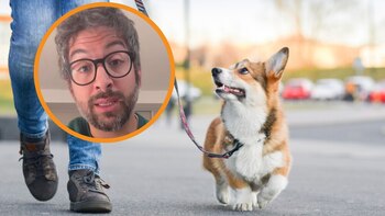 El farmacéutico Fernández explica la