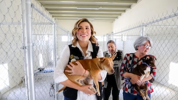 La administración estatal de Baja California endurece penas por maltrato animal