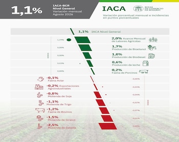 Índice de Actividad de la Cadena Agropecuaria (IACA-BCR)