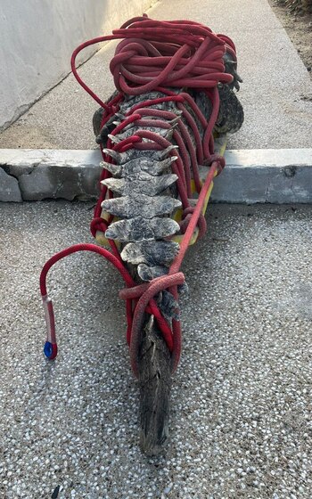 La SSPC exhortó a la