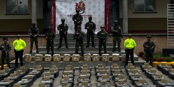 Siete toneladas de marihuana fueron