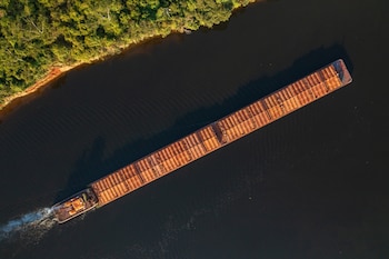 El beneficio, aunque temporal, impacta