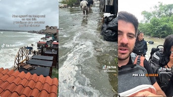 Turistas extranjeros documentaron en redes