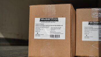 Argentina exportó mejillones por primera