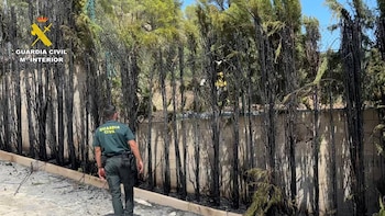 Guardia Civil auxilia a una persona y sus dos mascostas atrapadas en su domicilio de Socovos por un incendio