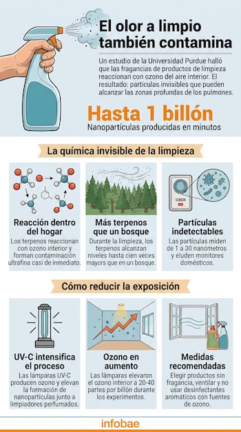 Infografía de Infobae sobre productos de limpieza con ilustraciones de un rociador, moléculas, árboles, un sensor y ventanas abiertas.