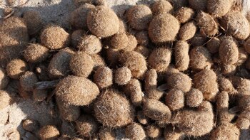 La acumulación de plásticos en