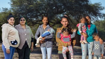 El embarazo visto como enfermedad,