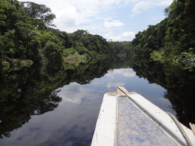 El fósil fue encontrado bajo el verdor y espesor de la Amazonía (Ecuador Turístico)