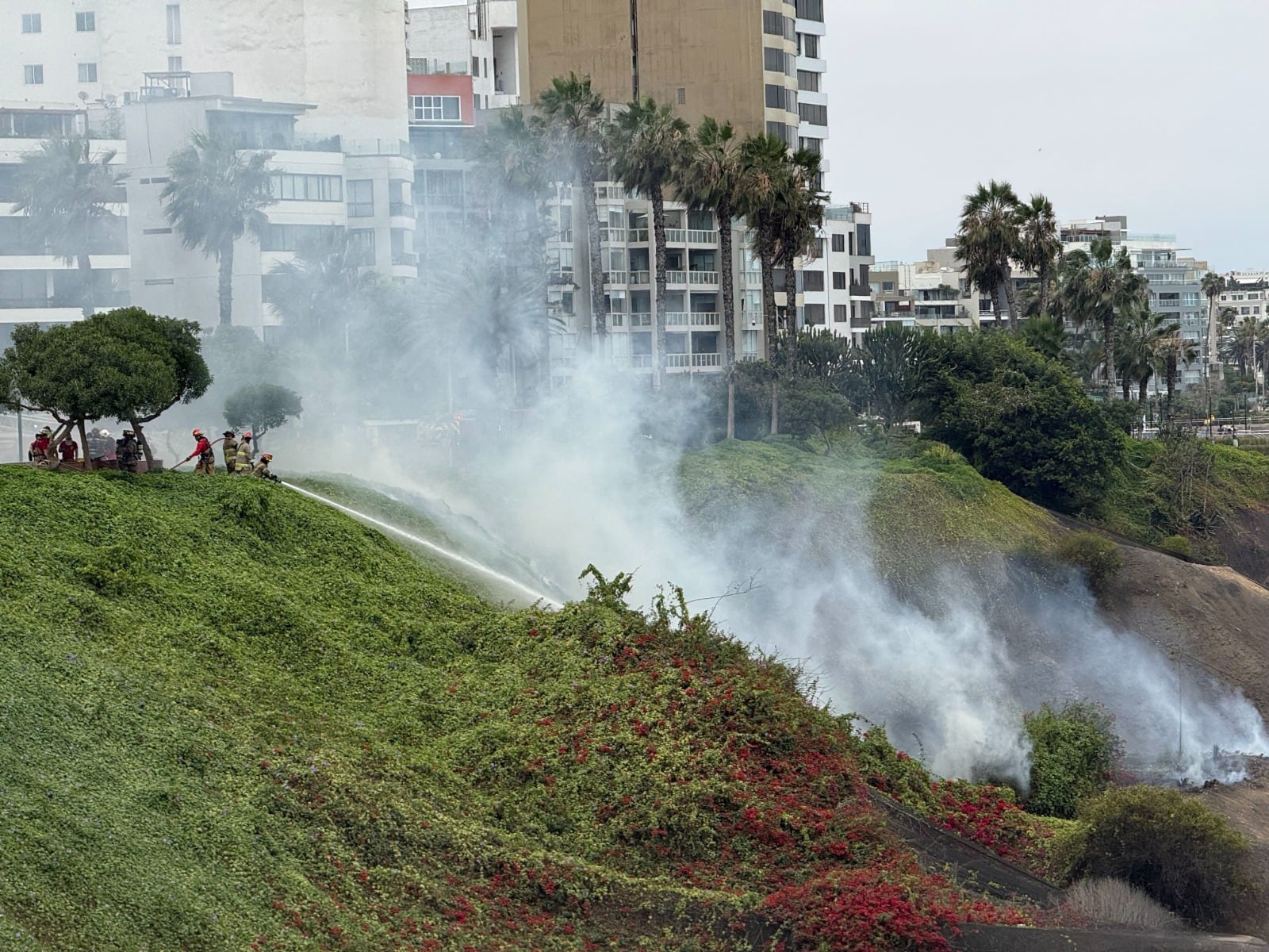 Bomberos rocían agua para apagar un incendio en la pendiente vegetada de la Costa Verde en el distrito de Miraflores. (Infobae Perú / Paula Elizalde)