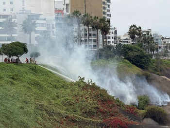 Bomberos echan agua con mangueras sobre la vegetación de una pendiente con humo frente a edificios
