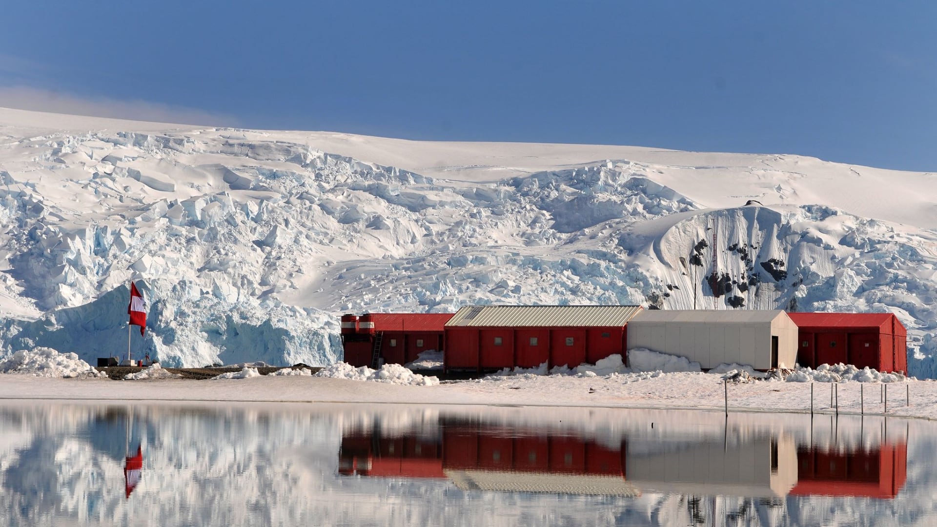 Descubren nuevas especies en la Antártida: Investigadores peruanos revelan efectos del cambio climático en la vida marina