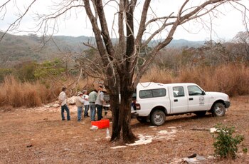 HALLAN NUEVA ESPECIE DE PEZ