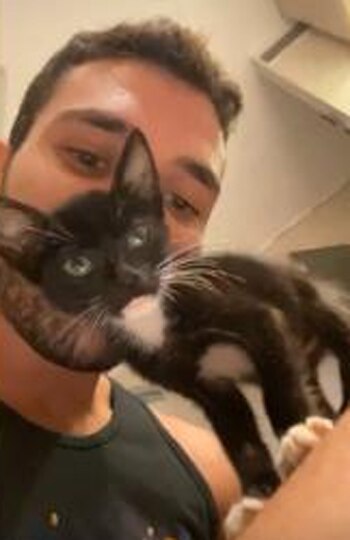 Armin, el gatito de los