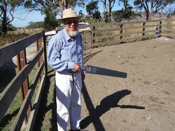 La cadena de ganados y