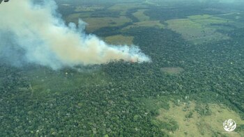 Incendios en el Amazonas colombiano.
