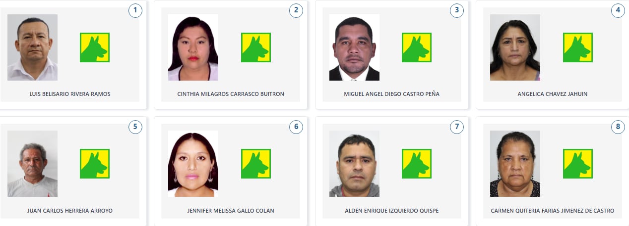 Los candidatos de Progresemos a la Cámara de Diputados por la región Piura. (Voto Informado - JNE)
