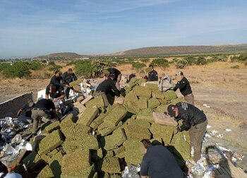 Incineró siete toneladas 446 kilogramos