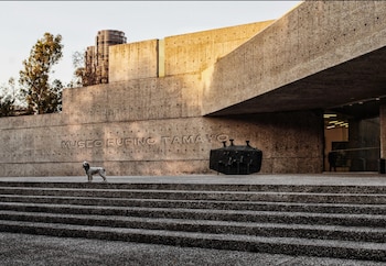 En el puesto 9 Museo Tamayo