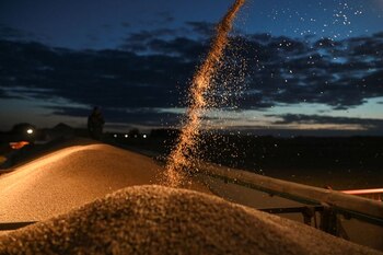 El 80% de las exportaciones argentinas eran agrícolas (muy difíciles de obstruir, pues la mayoría se transportaba en barcos extranjeros) y si bien las industriales habían crecido, la mitad era a países en desarrollo y “mayormente invulnerables a boicot” (Reuters)