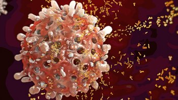 “Las leucemias son enfermedades que