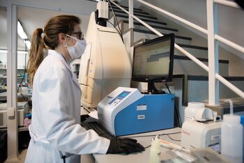 Allí se trabaja sobre el