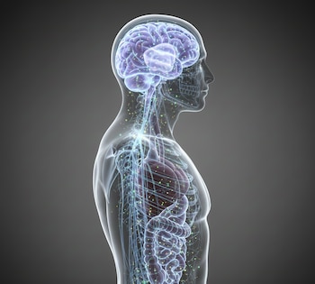 Científicos identificaron genes y enzimas