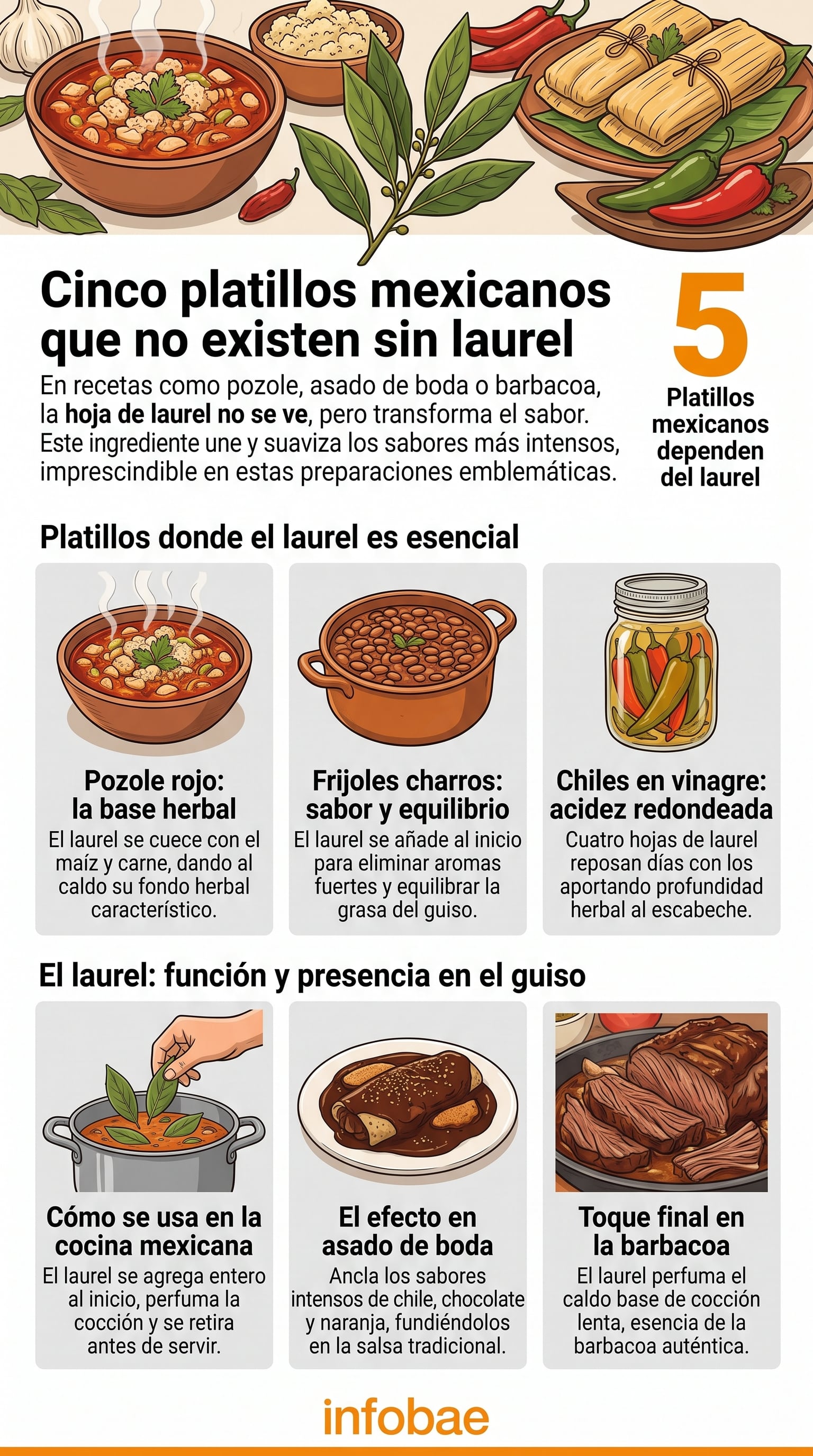 La hoja de laurel es originaria de la región mediterránea y llegó a México con la colonia española. (Imagen Ilustrativa Infobae)