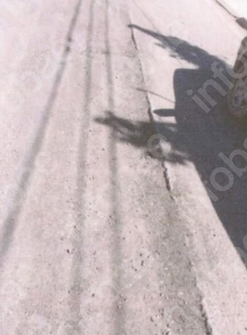 Sombra de una persona con un arma larga proyectada en una calle de asfalto junto a la rueda de un vehículo