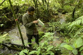 Foto cedida por la UIS