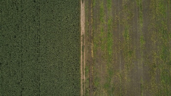 El mal manejo de los