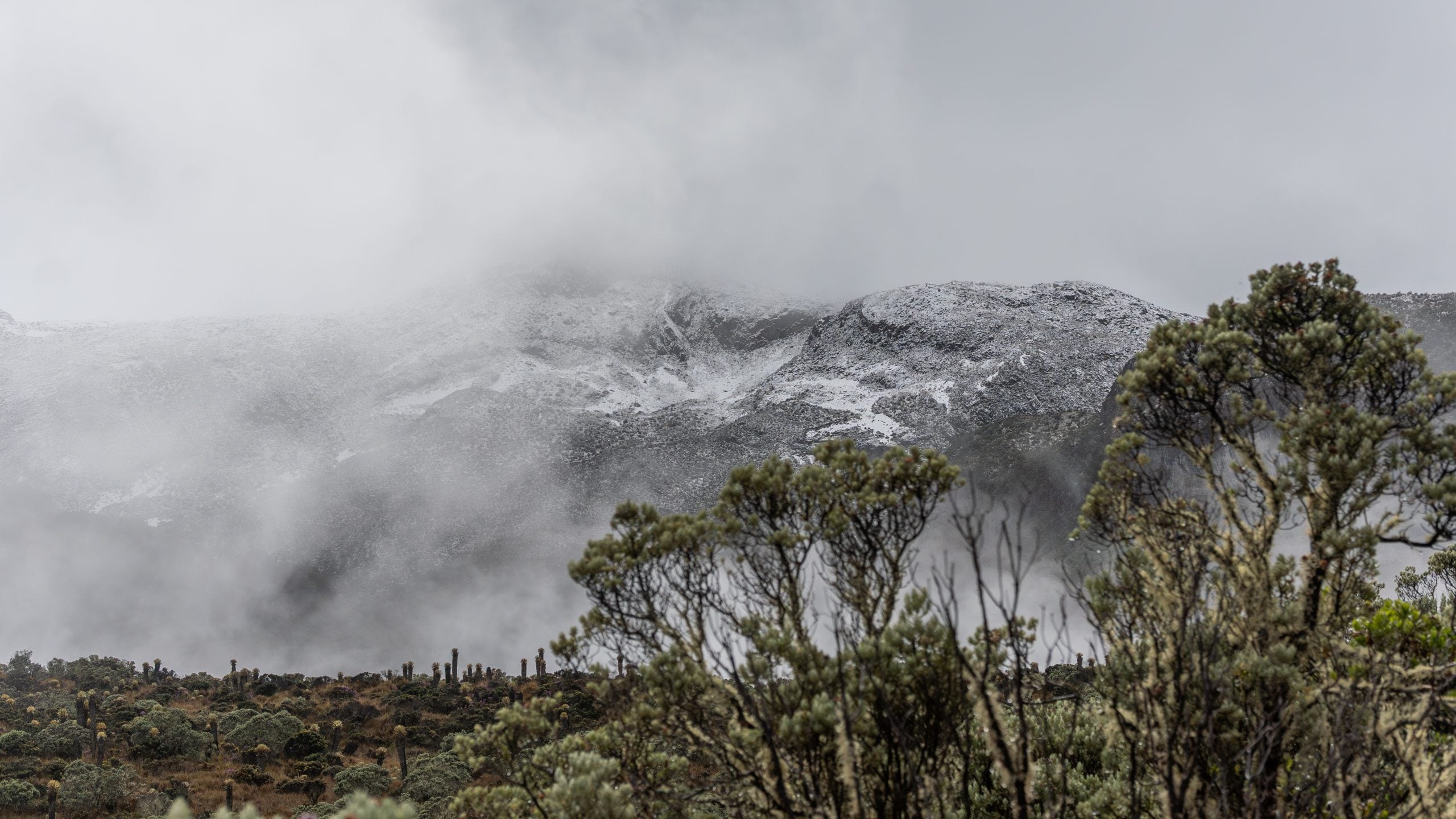 De los volcanes a los bosques: tres parques naturales de Colombia que sorprenden por su diversidad y belleza
