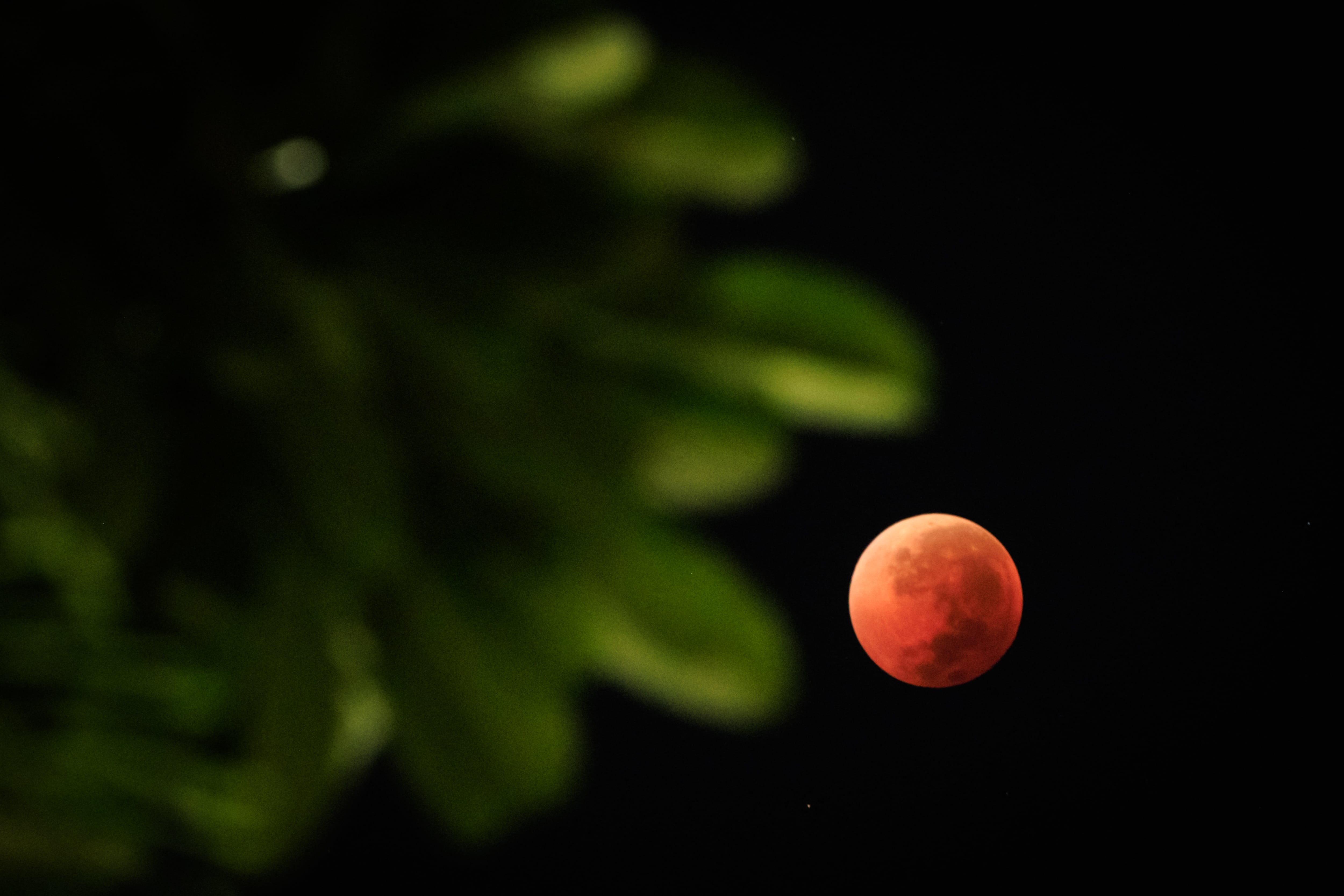 La Tierra se coloca entre el Sol y la Luna durante la fase llena, esto bloquea la luz solar directa y provoca el eclipse lunar total (YASUYOSHI CHIBA / AFP)