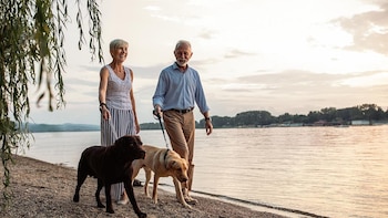 'Ropa inteligente': la próxima frontera