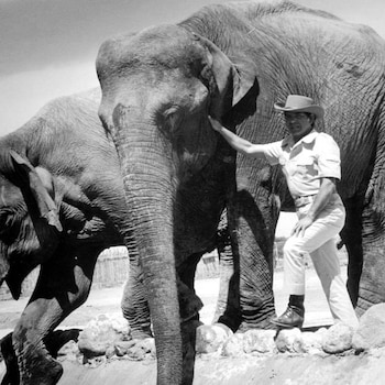 El sueño empresarial de Camacho