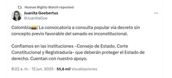 Juanita Goebertus, Directora de la