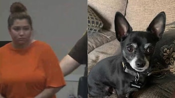 Se sospecha que Sonnemann cortó