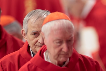 Los 133 cardenales electores se